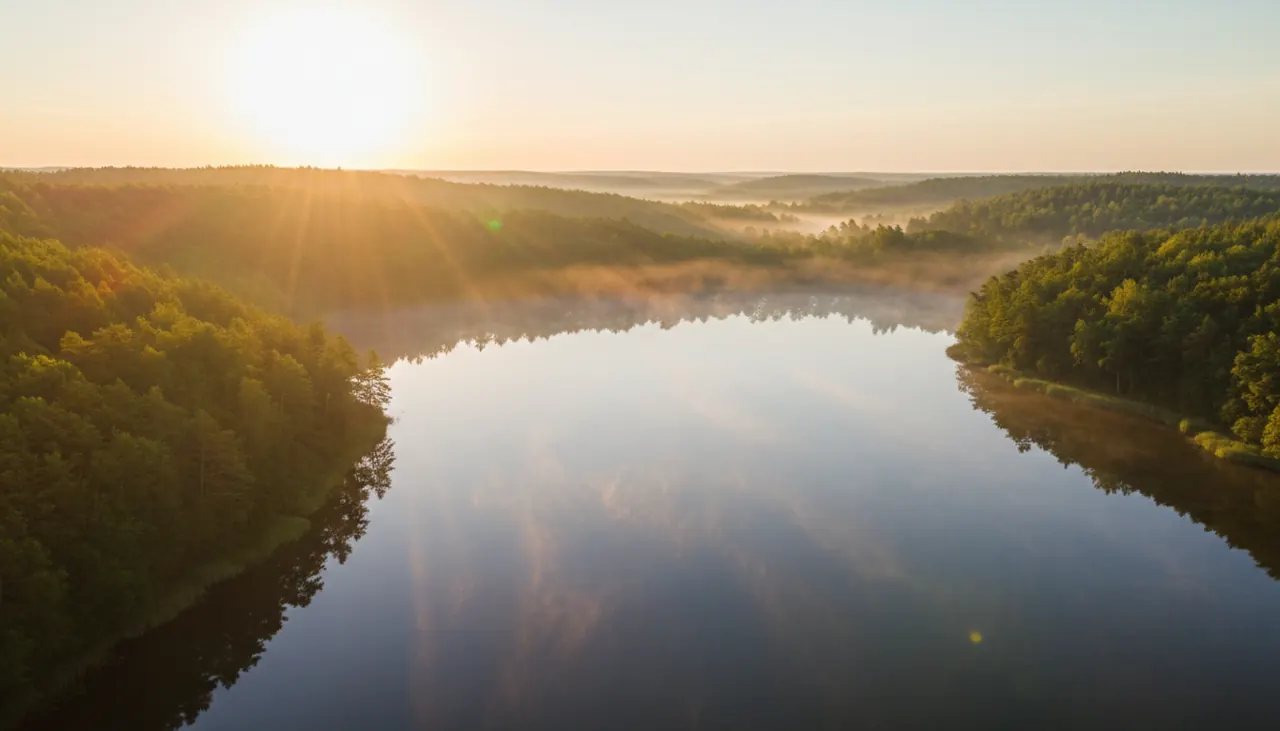 Lago rodeado de bosque al amanecer